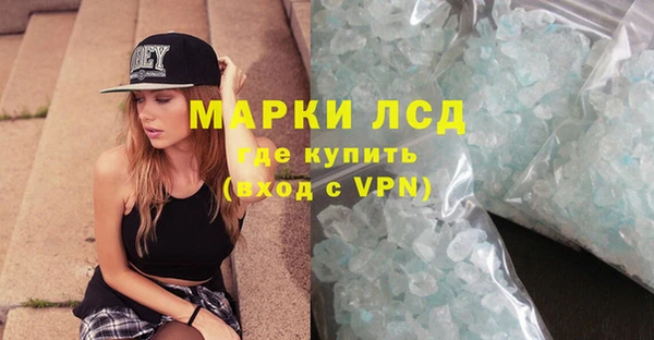 дживик Карпинск